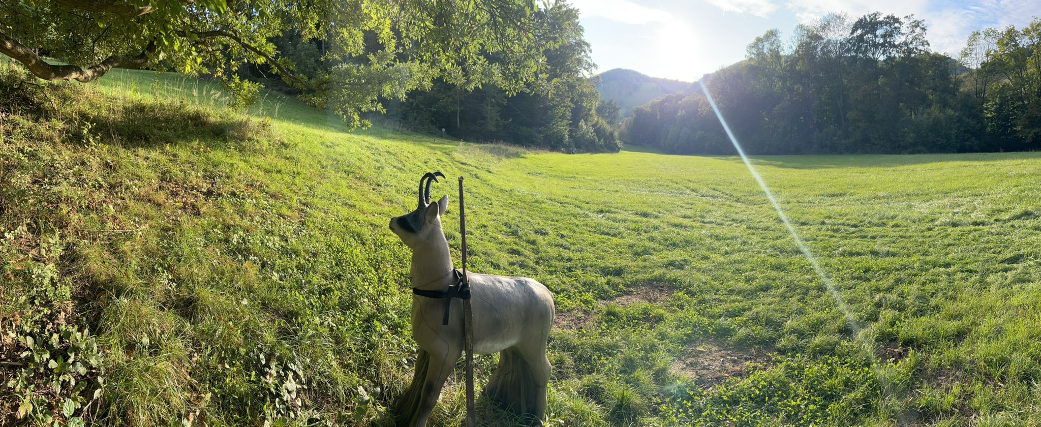 3D target in natural setting