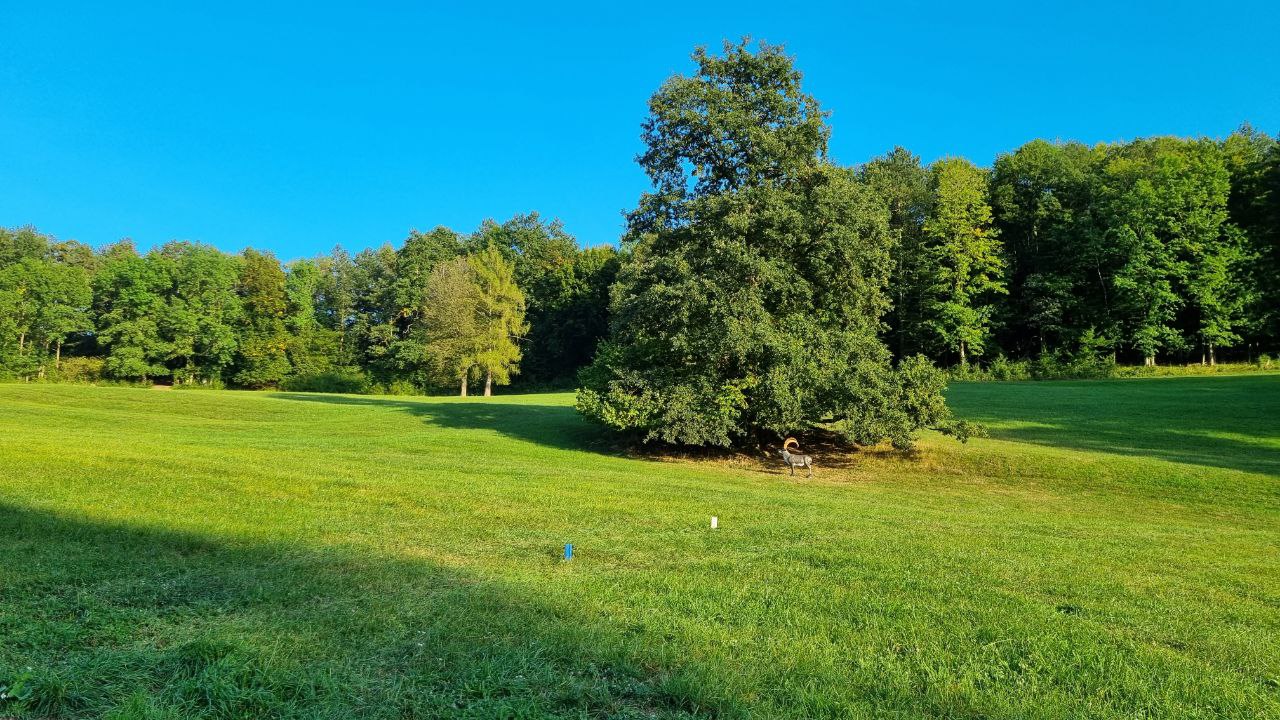 Field parcours with target markers