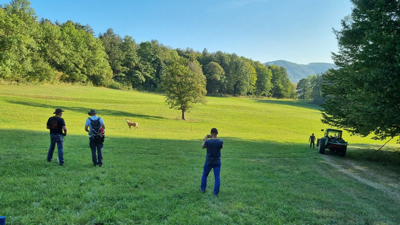 Traditional archery in the Wienerwald